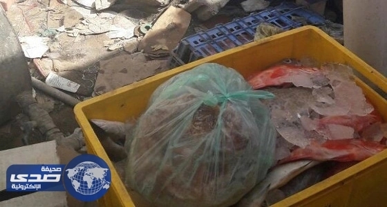 بلدية الدلم تتفاعل مع مواطن وثق عمال يصطادون الأسماك من الصرف الصحي