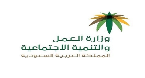 " العمل " : إيداع 1.6 مليار معاشات ضمانية لـ 889 ألف مستفيد