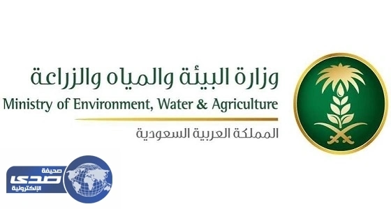 " البيئة " تضبط مخالفَين لنظام المراعي والغابات