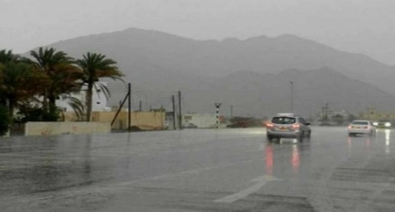 بالفيديو.. حالة الطقس المتوقعة غدًا الأحد