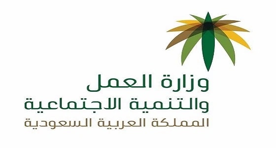 العمل: بدء تطبيق حماية الأجور إلزاميا.. فبراير المقبل