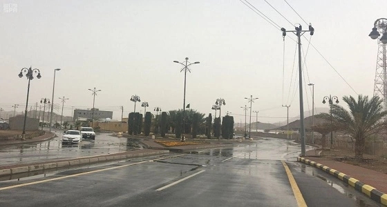 قتلى وجرحي في اشتباكات مليشيا الحوثي وقوات المخلوع صالح