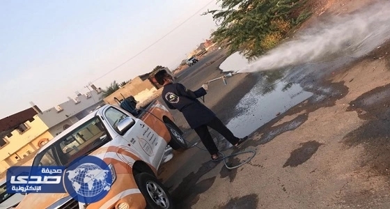 اليوم الـ 12 من أيام "الجنادرية 31" يسجل حضور 500 ألف زائر وزائرة