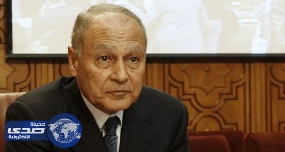 أبو الغيط يدين الهجوم الإرهابي في شمال سيناء
