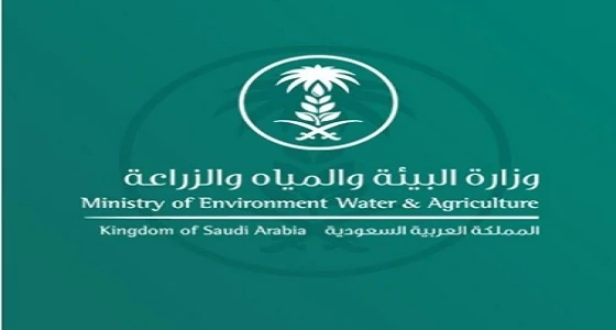 " البيئة " توضح حقيقة فرض رسوم على النخيل والمواشي