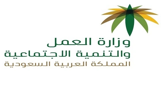 " العمل " تستبعد ملاك سيارات النقل الكبيرة من الضمان الاجتماعي