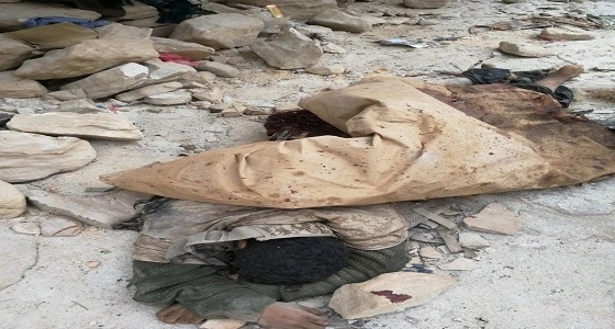 قتلى من الحوثيين في غارات لطيران التحالف العربي بجبهة صرواح