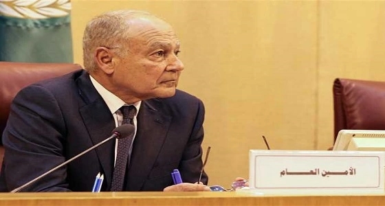أبو الغيط: ثورات الربيع وضعت المنطقة العربية أمام فراغ مروع