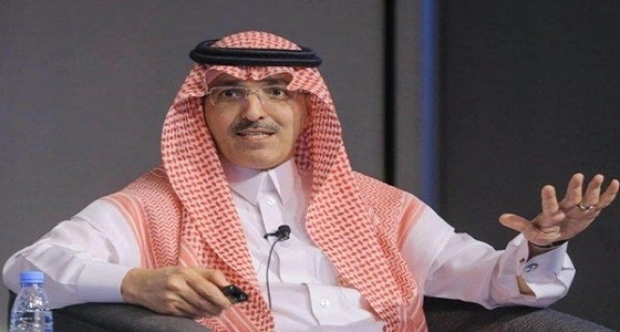 وزير المالية: تخفيض التعيينات دون المساس بالرواتب.. والعلاوة السنوية موقوفة