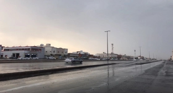 بالصور.. هطول أمطار من خفيفة إلى متوسطة على المدينة