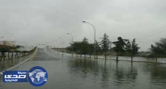 هطول أمطار خفيفة على محافظة الطائف