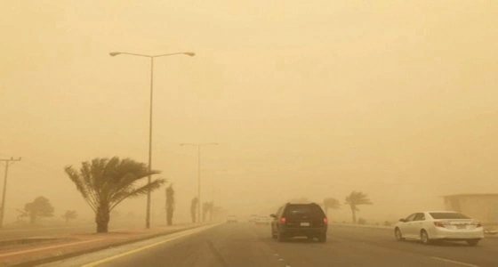 نصائح النقل لقائدي المركبات لتفادي الآثار السلبية للموجة الغبارية