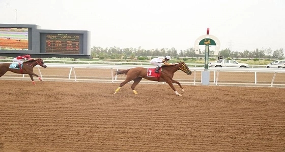 الخميس.. حفل سباق الخيل الـ14 على كأس وزارة الخارجية بجدة
