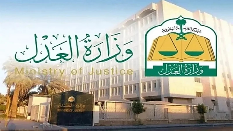 ارتفاع أعداد المنتمين لقطاع المحاماة إلى 18 ألف محام ما بين ممارسين ومتدربين