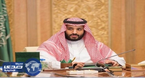 بالفيديو.. نورس يقتل أرنبا ويبلعه دفعة واحدة