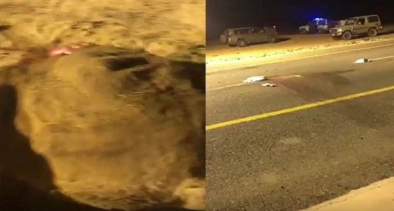 بالفيديو.. قرقاش: تجربتي على تويتر جيدة لولا الذباب