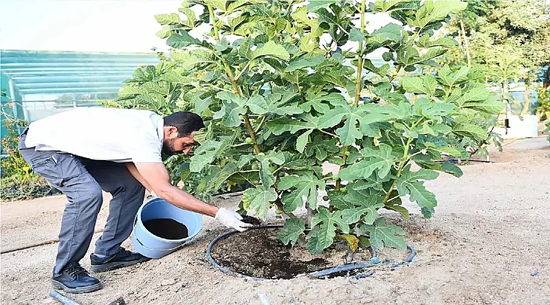 مواطن يستعين بالديدان لتزويد المزارعين بالأسمدة