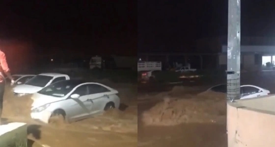 بالفيديو.. طالب إندونيسي يشكر المملكة بأبيات شعرية
