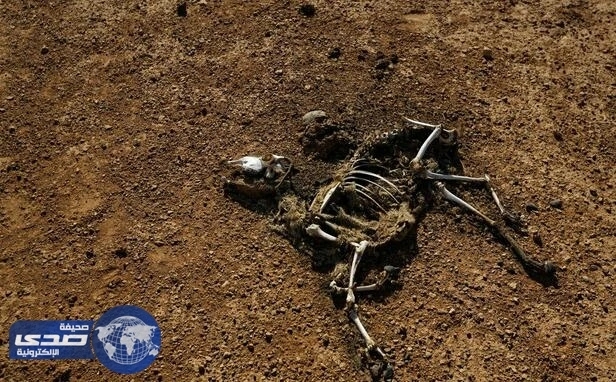 3 مليون شخص في بوروندي يواجهون مخاطر انعدام الغذاء ..والأمم المتحدة تحذر
