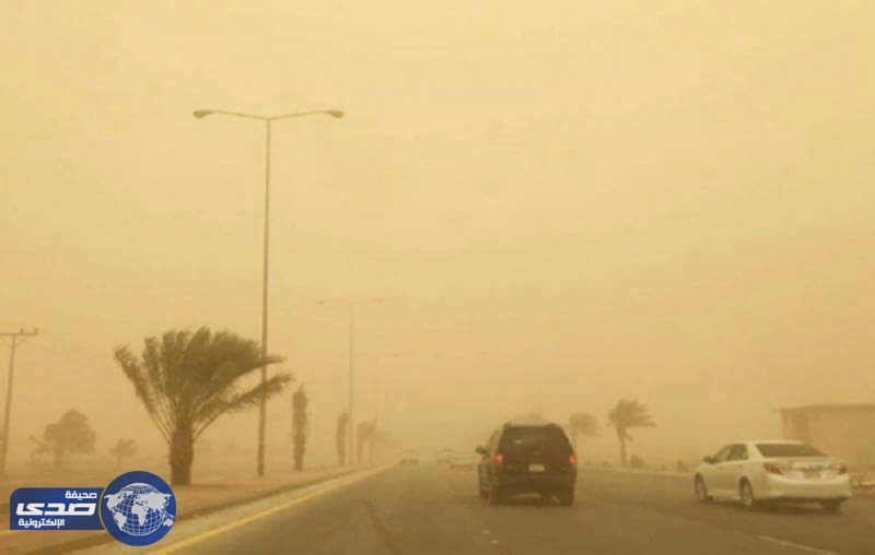 مطالبات بتعليق الدراسة في المدينة .. و التعليم يلزم الصمت