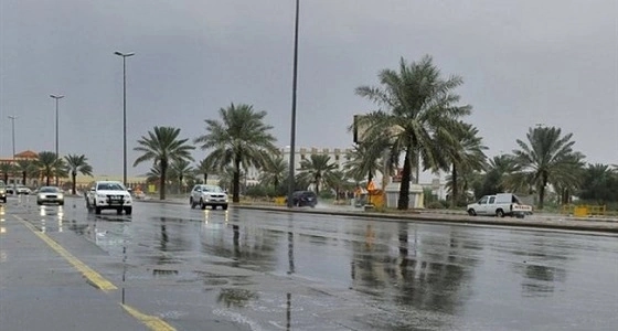 تزامنا مع هطولها.. 8 نصائح لقائدي السيارات في الأمطار