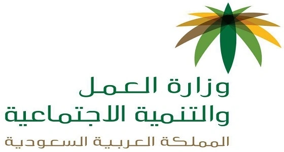 مصدر: " تأجير العمالة المنزلية " تحصل على 81 ألف تأشيرة خلال عامين