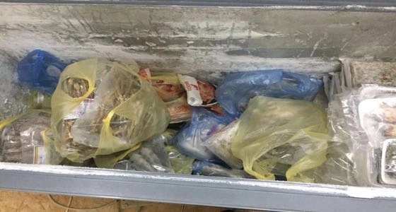 بالصور.. إتلاف ١٧ كيلو جرام لحوم وأسماك فاسدة بالمنطقة الشرقية