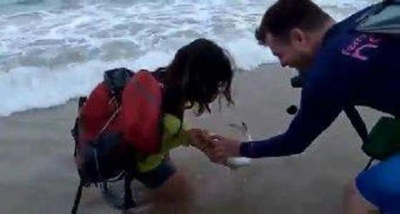 بالفيديو..6 آلاف دولار غرامة بسبب سلفي مع قرش