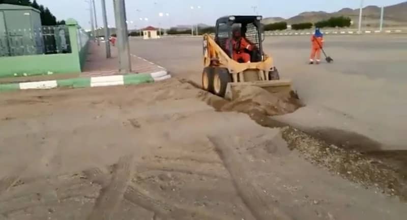 شاهد.. مواطنة تروي قصة نجاحها وخطتها لزراعة الموز الأزرق 