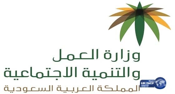 "العمل": يحق للجهات الحكومية والخاصة التعاقد مع جمعيات أهلية لإدارة مؤسساتها مشاريعها