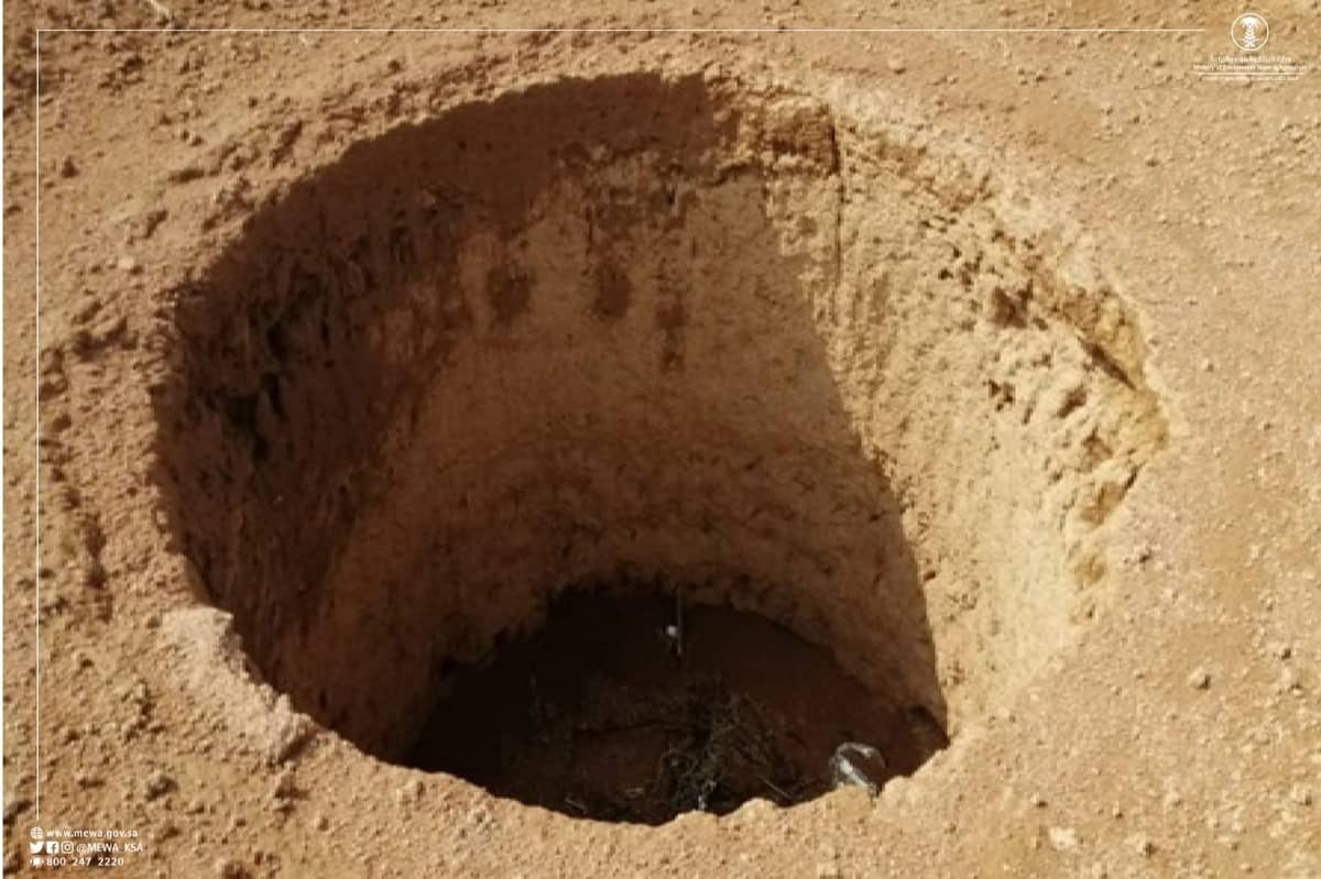 ليليا الأطرش تحدث ضجة بإعلان موعد زواجها بعد طول انتظار