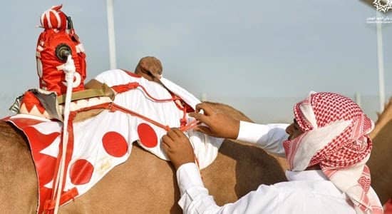 النيابة العامة : تمكين المدين المفلس من تعظيم أصول التفليسة وتنظيم أوضاعه