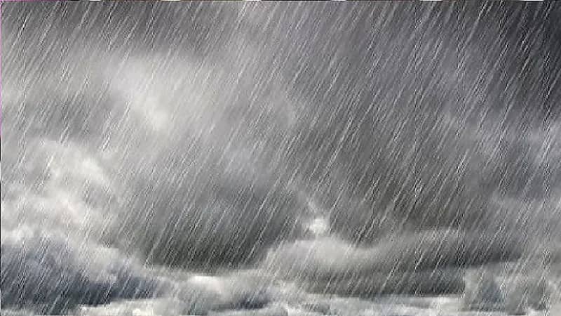 شاهد..ممثل شهير يحتفل بعيد ميلاده بقالب حلوى من الدولارات