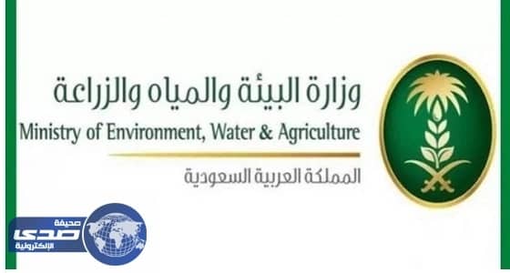 " البيئة " تفرض حظر استيراد الأبقار من إسبانيا بسبب " جنون البقر "