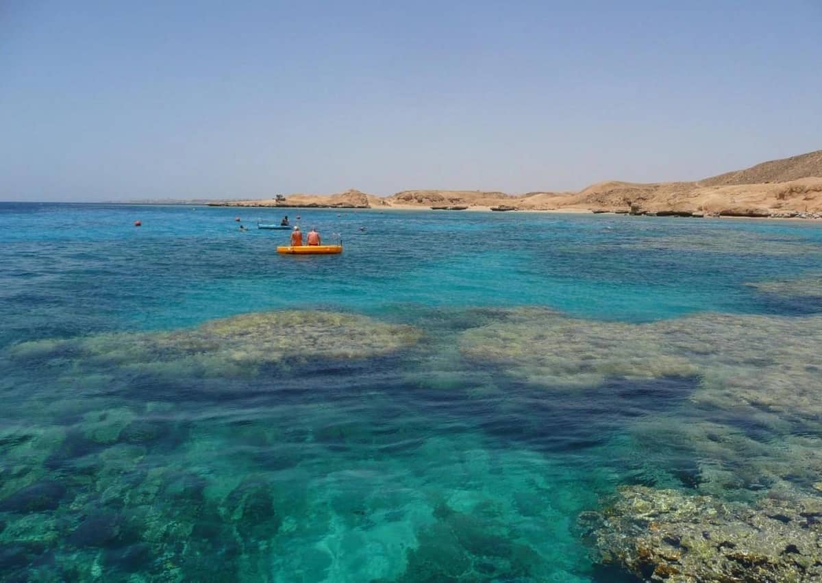 “الإدارية العليا المصرية” تقبل طلب رد المحكمة فى قضية “تيران وصنافير”