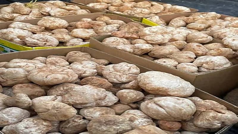 شاهد.. عبدالله بوشهري يؤدي عمرة بالإنابة عن أحد أصدقائه