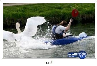 الذيابي يكشف عن عوامل الخطورة للقولون العصبي 