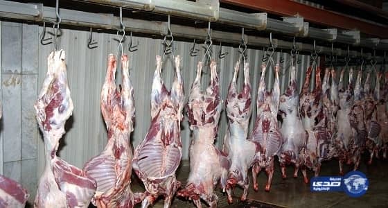 مسالخ السيح والدلم والهياثم تشهد تنظيماً انسيابياً مميزاً