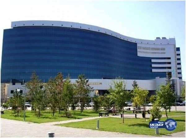 اقتصاديون يقاضون الوزارة لأخذ أفكارهم وتنفيذها بالاتفاق مع شركة أجنبية