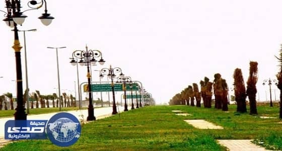 بالصور.. طلاب هديب يحتفون بالوطن