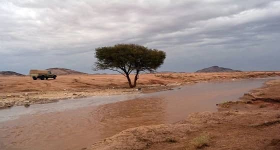 بالصور.. أمطار الرس تجذب الأهالي وهواة الرحلات البرية