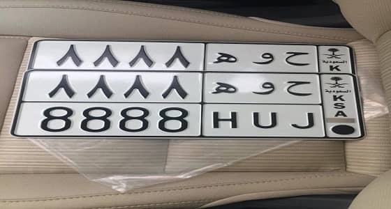 بالصورة.. اللوحات المراد بيعها بمزاد المدينة