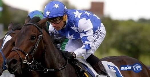 حصول ملياردير " سعودى" على دعم حكومي لمزرعة خيوله يثير غضب البريطانيين