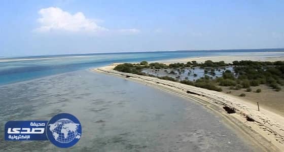 خبير أمريكي يحذر من كارثة تهدد حياة المواطنين بالمملكة