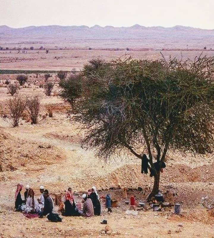 كشتة الطيبين في الشعيب