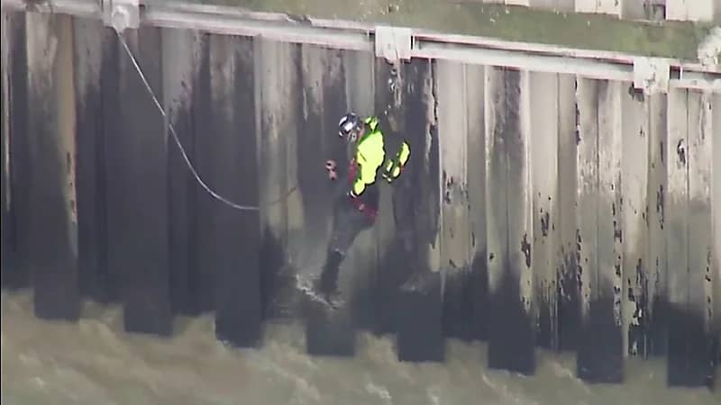 شاهد.. أحد رجال الدفاع المدني ينقذ غريقاً في بحر لوس أنجلوس بطريقة دراماتيكية