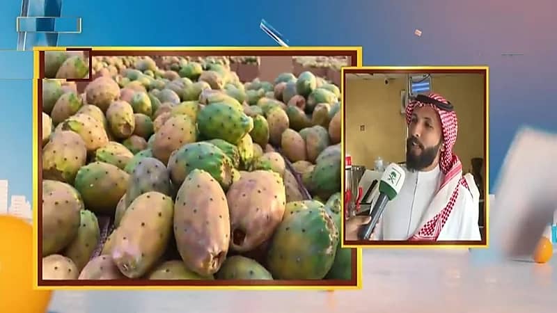 بالفيديو.. شاب يبتكر نكهة آيس كريم بالبرشومي في الطائف