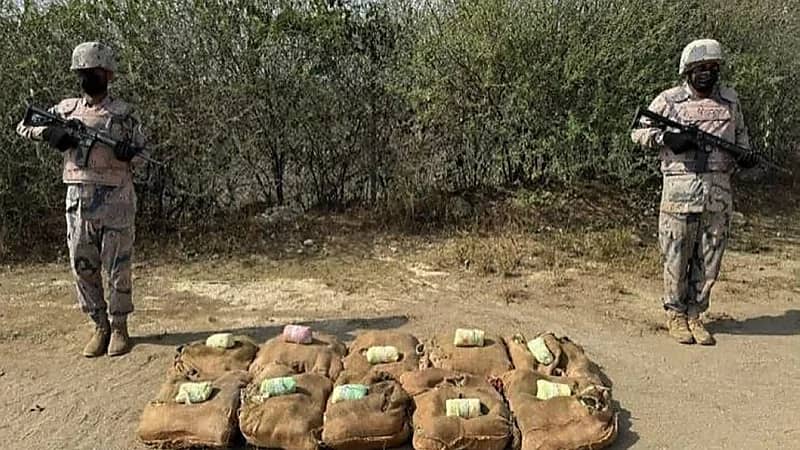 إحباط تهريب كميات كبيرة من القات والشبو في 3 مناطق