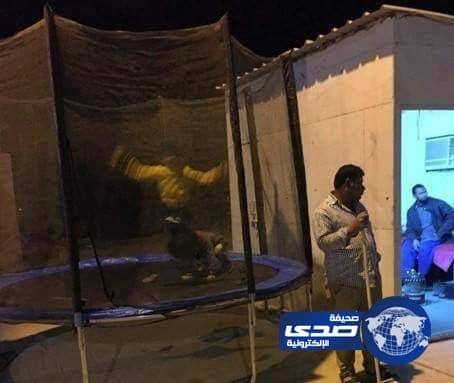 "بلدية المهد" تنفي استغلال حارس حديقة عامة لعمله وتحويلها لمرفق استثماري