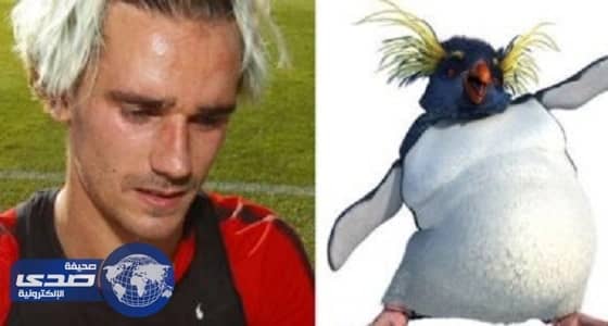 بالصور.. مواقع التواصل الاجتماعي تسخر من جريزمان